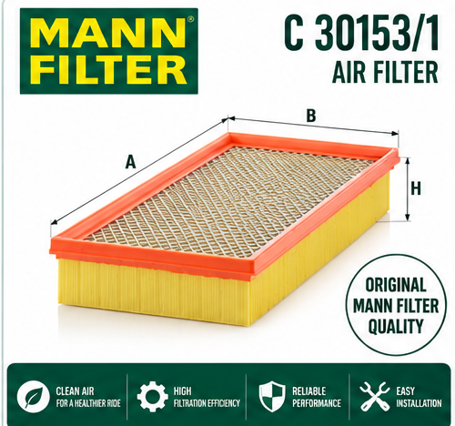 MANN C 30153/1