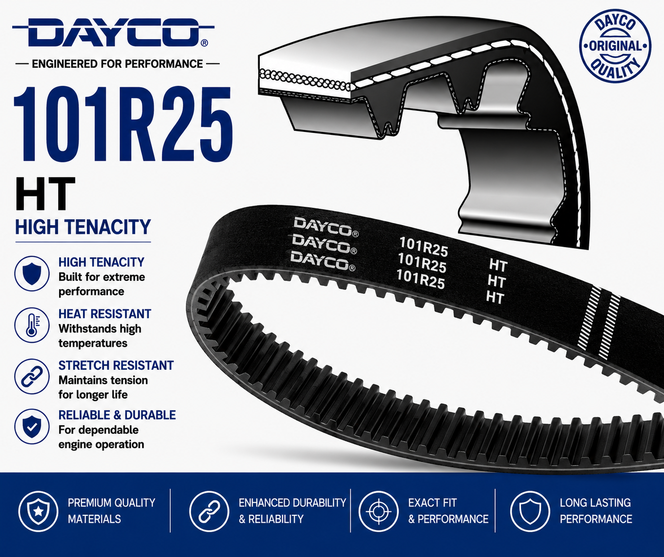 DAYCO 101R25