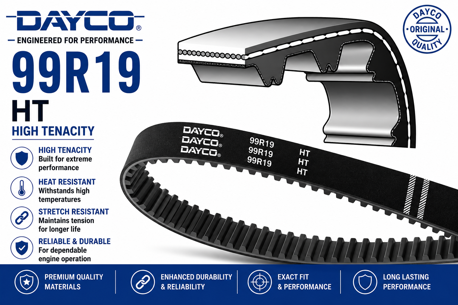 DAYCO 99R19