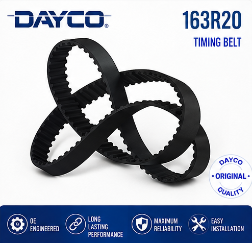 DAYCO 163R20