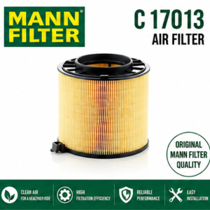 MANN C 17013