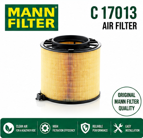 MANN C 17013