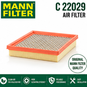 MANN C 22029